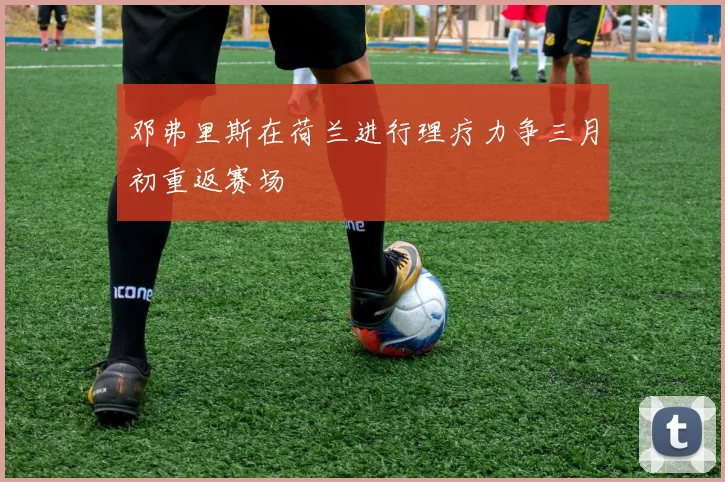 邓弗里斯在荷兰进行理疗力争三月初重返赛场