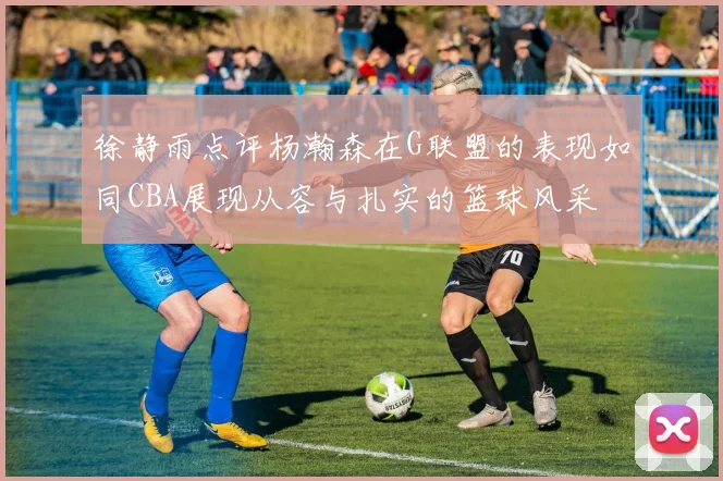 徐静雨点评杨瀚森在G联盟的表现如同CBA展现从容与扎实的篮球风采