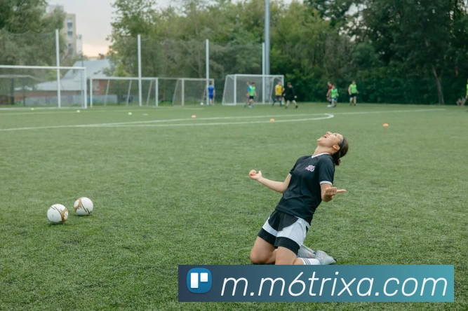 M6体育服务体系