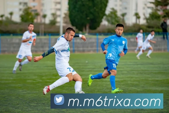 多媒体互动体验